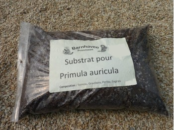 Auricula compost mix