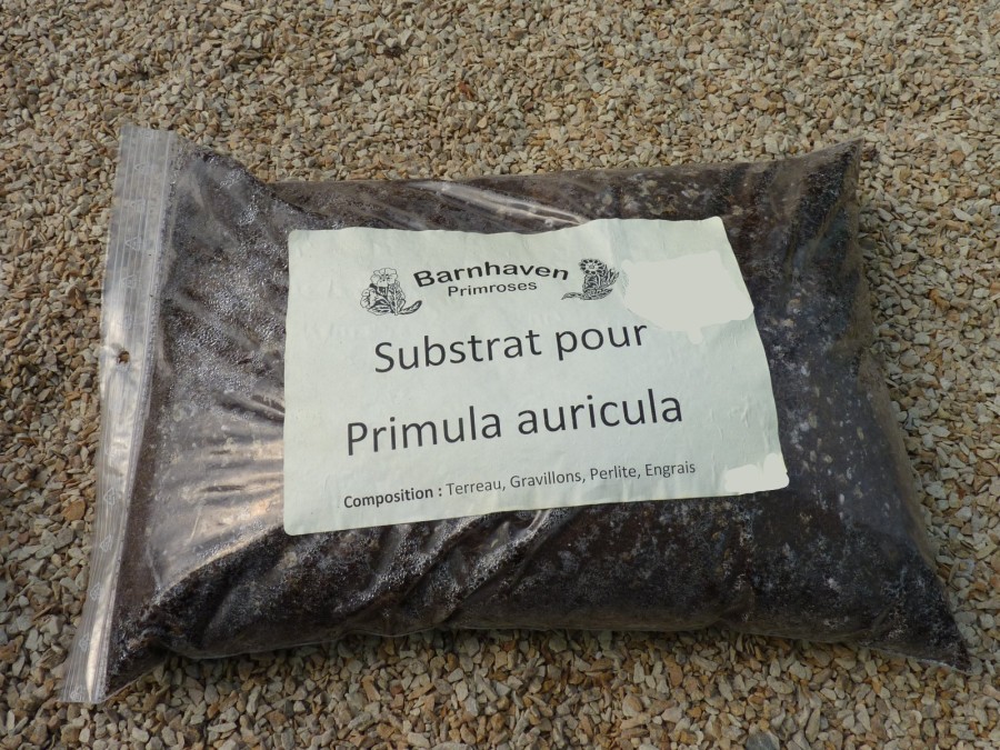 Auricula compost mix