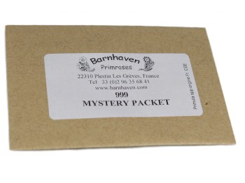 Mystery packet