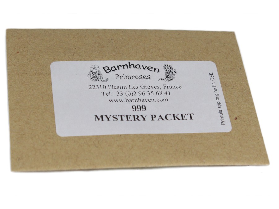 Mystery packet