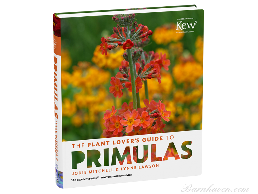 The Plant lover's guide to Primulas