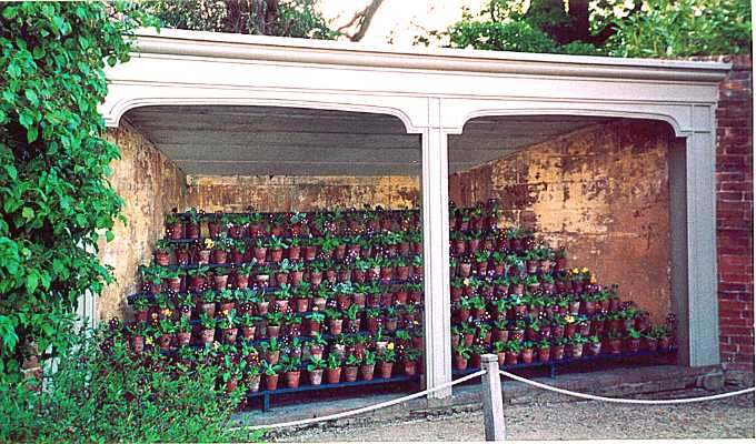 Théâtre de fleurs à Calke Abbey, Angleterre