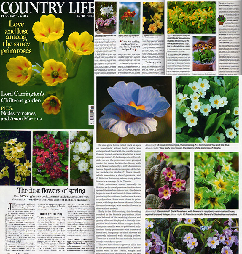 country-life-feb-2013.jpg